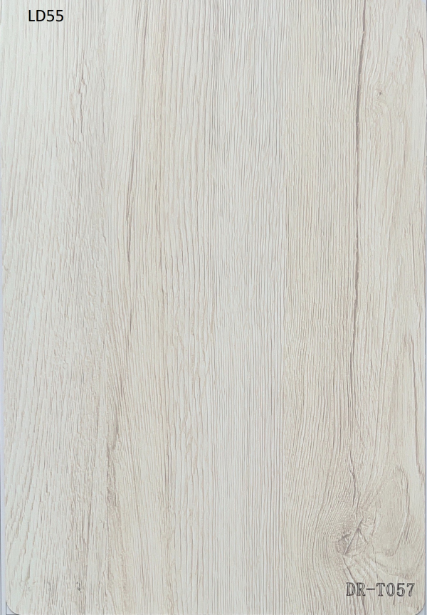 LD55_DR-T057