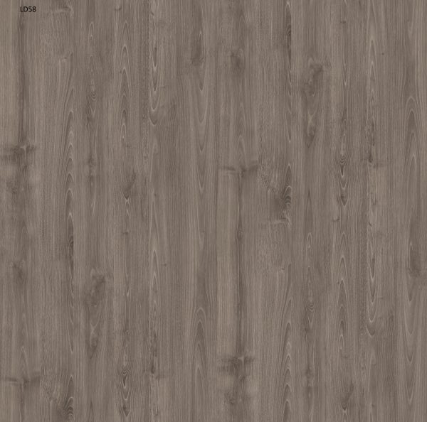 LD58_DR-T024Z-3