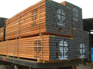 Teak Wood