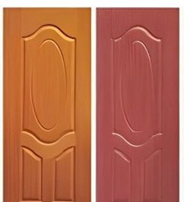 DOOR SKINS
