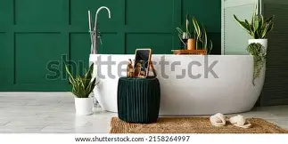 Bathtubs & Accessories
